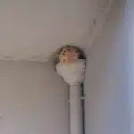 Nid de guêpes en coin de mur blanc.