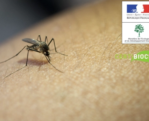 eradication moustiques Moustique sur peau, logos écologiques visibles.