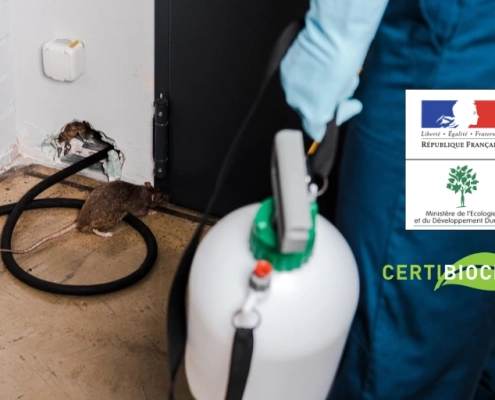 exterminateur rat 1 Exterminateur élimine un rat dans un bâtiment.