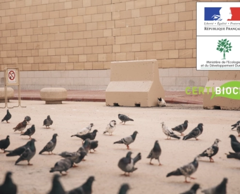 groupe pigeons domaine publique Pigeons sur place, pancarte interdiction, logos officiels visibles.